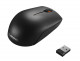 Mouse Lenovo KB MICE BO 300 Wireless 