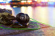 Headphone Razer Adaro Stereo 